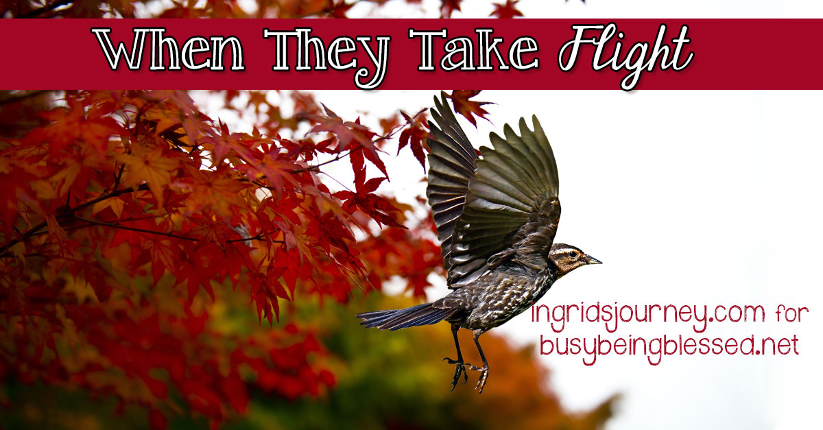 When They Take Flight {Imperfect Moms Day 21}