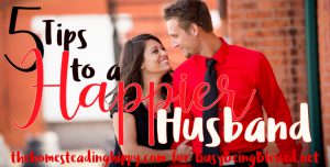 Read more about the article 5 Tips for a Happier Husband