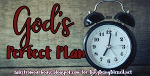 Read more about the article God’s Perfect Plan