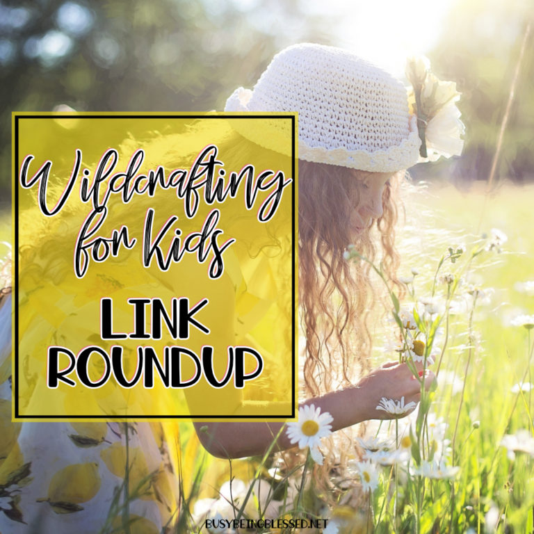 Wildcrafting for Kids {Link Roundup}
