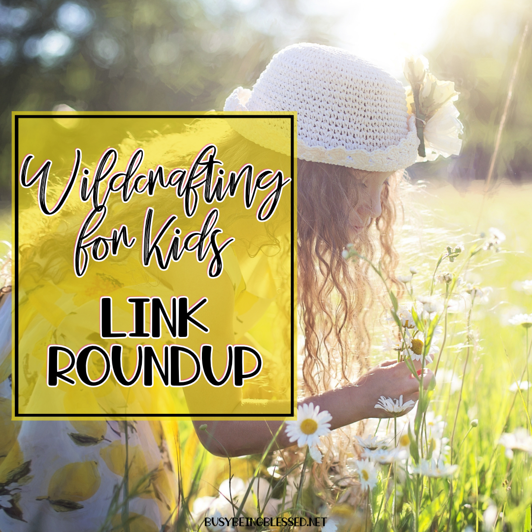 Read more about the article Wildcrafting for Kids {Link Roundup}